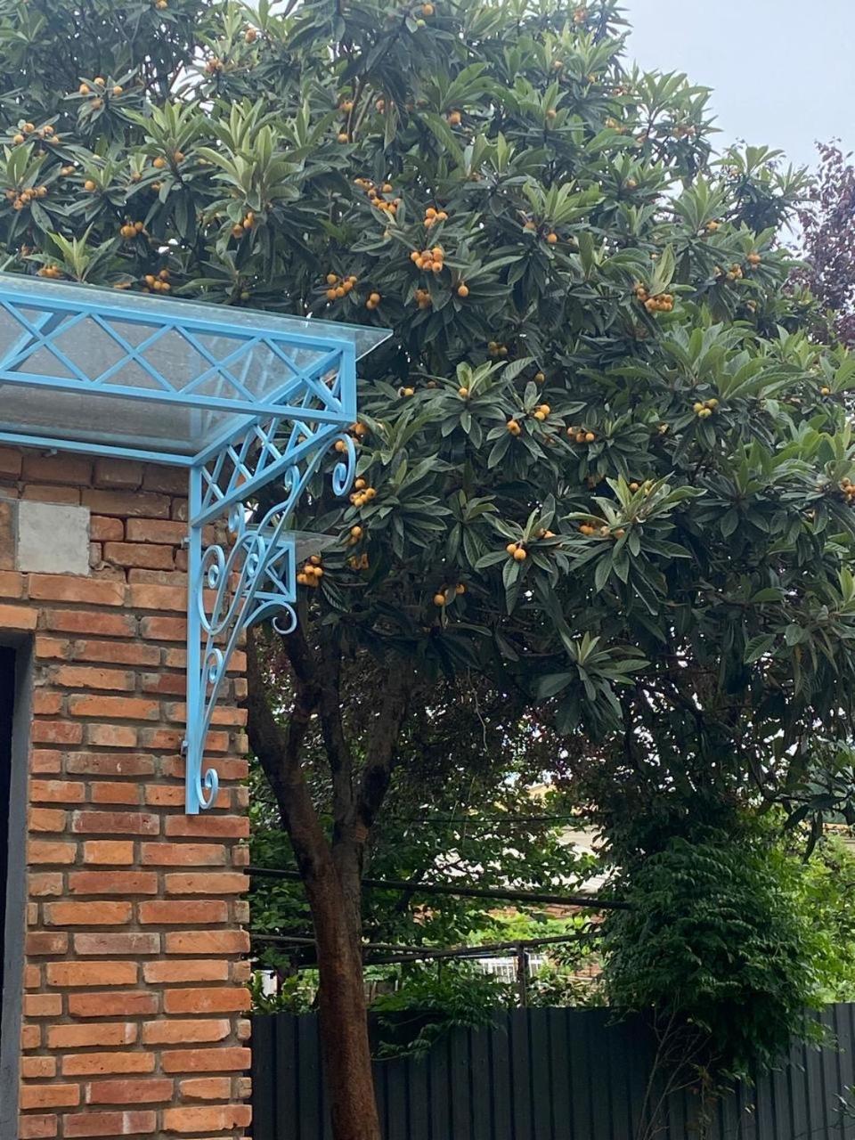 Hotel Varla Kutaisi Exterior foto